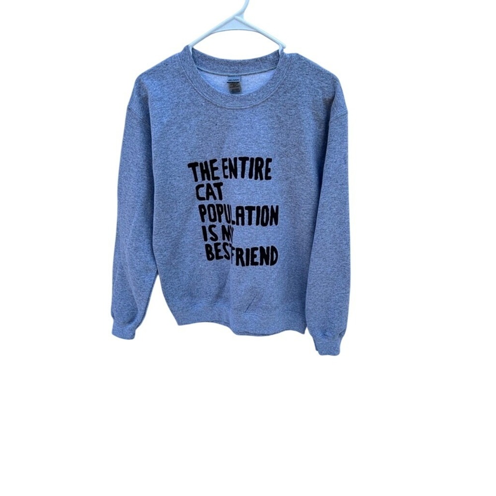 Crazy Cat Lady Sweatshirt, Gray, Size‎ S